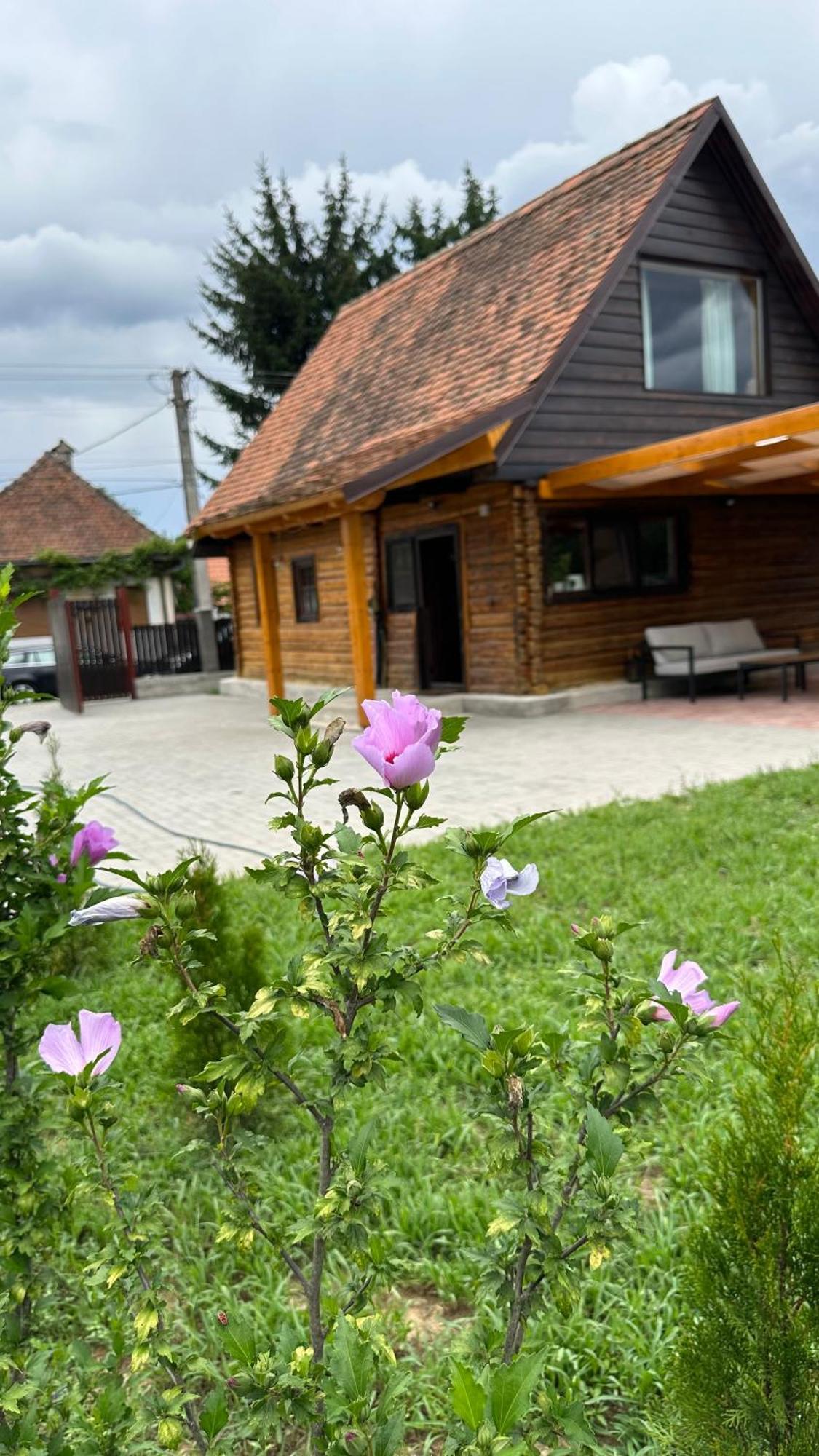Casuta Cu Tihna Porumbacu de Sus Exterior foto